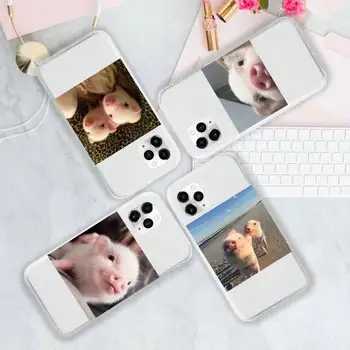 Cute Little Pink Naminių Kiaulių Telefono dėklas Skaidri minkšta iphone 5 5s 5c se 6 6s 7 8 11 12 plus x mini xs xr pro max