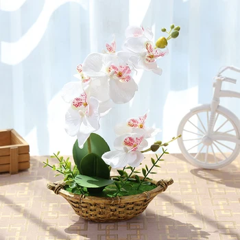 Dirbtinių Drugelių Orchidėja, Gėlių, Augalų Su Pot Pot Realus Vazoninių Augalų Buveinės Lentelė Patalpų Vidaus Lauko Apdaila