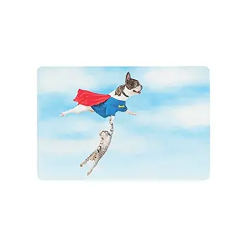 Gyvūnų Anti-slip Durų Kilimėlis Namų Dekoro, Juokingi Super Herojus Šuo su Cat Kitten Plaukioja pro Debesis Patalpų ir Lauko Įėjimo Słomianka