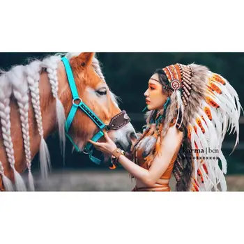 Indijos galvos apdangalas Rankų darbo suaugusiųjų pagaminti su realiais baltas gaidys ir gulbių plunksnos - Vidutinio Dydžio - Amerikos indėnų Stiliaus