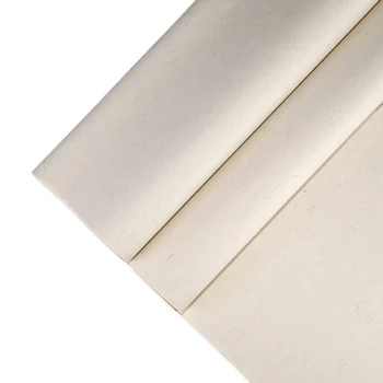 Keturių Pėdų Kinų Kaligrafija Dokumentus Rankų Darbo Pusė-Prinokusių Xuan Popieriaus Ryžių Kanapių Dokumentus Vintage Stiliaus Carta Di Riso Rašymas, Tapybos