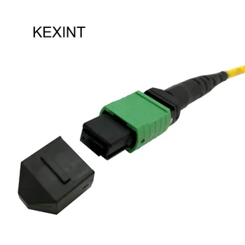 KEXINT Fiber Optic Patch Cord 24cores MTP-MTP Singmode Fiber Optic Patch cord
