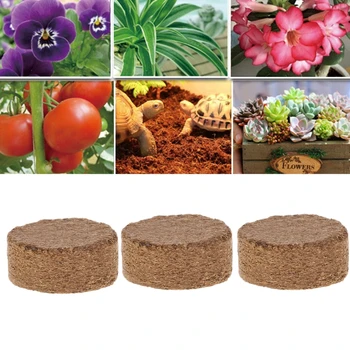 Kokoso Pluošto Kokoso Granulių Maistingųjų medžiagų Dirvos Lengvas Augalų Suspaustas Bazės Sodo 425C