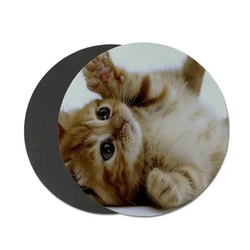 MaiYaCa Gražus Anime Akinius katė Žaidėjus Greitis Pelių Mažmeninės Mažų Gumos Kilimėlis 200x200mm 220x220mm Apvalios Pelės Mygtukai