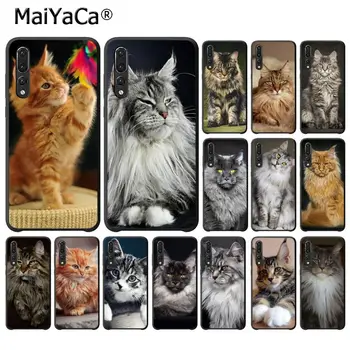 MaiYaCa pet meino meškėnų kačių Telefoną Atveju Huawei P20Lite P30Pro P Smart Y5 Y6 Honor8A 8C 10i Nova3 Mate20Lite