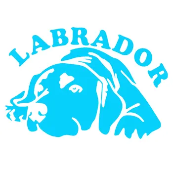 Mielas Labradoro Šuo Automobilių Kėbulo Lango šviesą Atspindintys Lipdukai, Lipdukas Apdaila, Automobilių Lipdukas Automobilio stiliaus