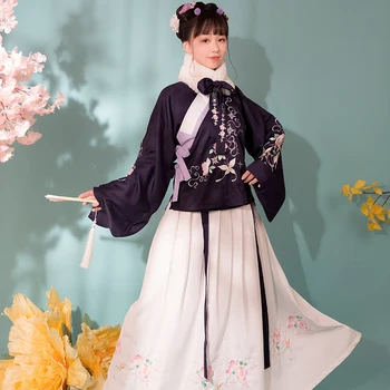 Moteris Kinijos Tradicinių Šokių Kostiumai Elegantiškas Pasakų Suknelė Veiklos Cosplay Hanfu Siuvinėjimo Tango Senovės Hanfu Suknelė