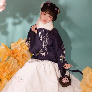 Moteris Kinijos Tradicinių Šokių Kostiumai Elegantiškas Pasakų Suknelė Veiklos Cosplay Hanfu Siuvinėjimo Tango Senovės Hanfu Suknelė