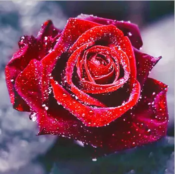 Nauja Mada, PASIDARYK pats, 5D Diamond Graži Rožė, Gėlių Tapybos, Siuvinėjimo Dygsniai Amatų Namų Dekoro Freskos Vinilo Unframe Paveikslai