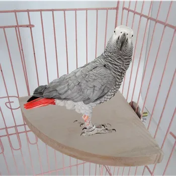 Paukštis Papūga Medienos Platforma Stovėti Stovo Žaislas Žiurkėno Filialas Laktos Paukščių Narvas Žaislus-Pet Hot