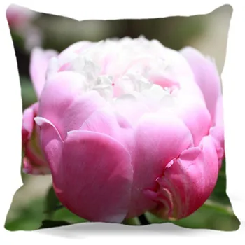 Rožinis Baltas bijūnas 2017 m. Pavasario medvilnės poliesterio pagalvėlė padengti sofa namų, automobilių puošimas Gėlėmis modelis Kvadratinių 16