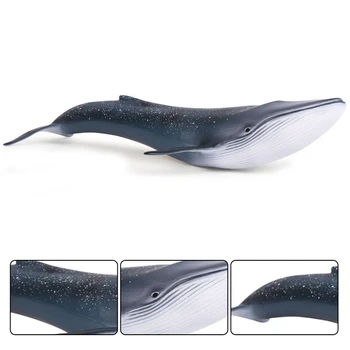 Sea Life Mėlynasis Banginis Žaislai Modeliavimas Gyvūnų Modelio Veiksmų Žaislas Duomenys Klasikinis Žaislai Gyvūnų Modelio Surinkimo