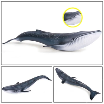 Sea Life Mėlynasis Banginis Žaislai Modeliavimas Gyvūnų Modelio Veiksmų Žaislas Duomenys Klasikinis Žaislai Gyvūnų Modelio Surinkimo