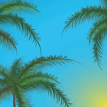 Užuolaidų Filialai Palmių Medžiai žali Lapai Nuo Mėlynas Dangus Vasarą Atogrąžų Paplūdimio Saulėtekio Peržiūrėti Spausdinti